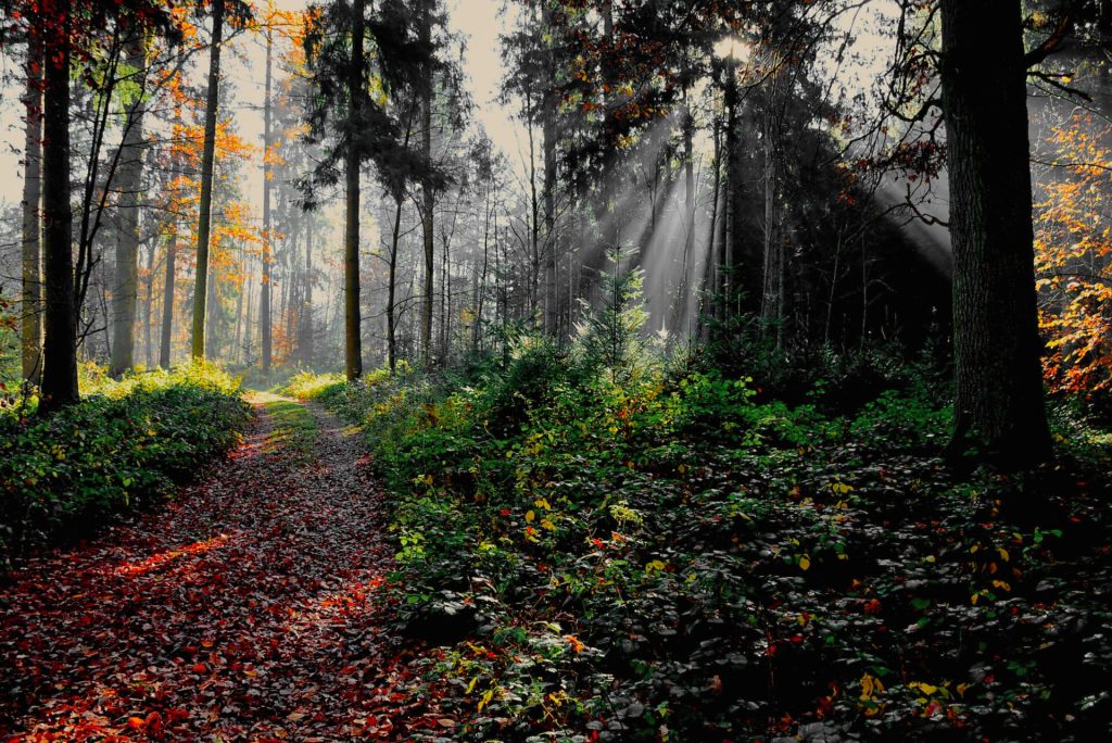 Licht und Schatten